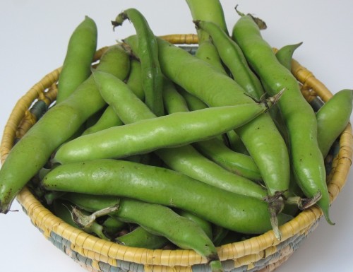 favas in basket