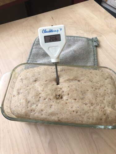 Microwave 'baked' bread