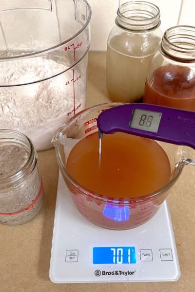 Ingredients for Yeast Water bread