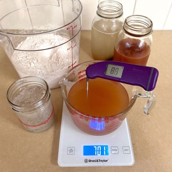 Ingredients for Yeast Water bread
