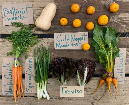 Riverdog Farm CSA box March 2024