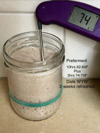 Wild Yeast Water Preferment plus 3hrs 74F