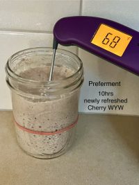 Wild Yeast Water Preferment 68F