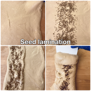 laminating seeds in wild yeast water einkorn dough