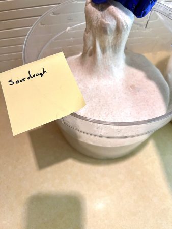 End of bulk fermentation for sourdough