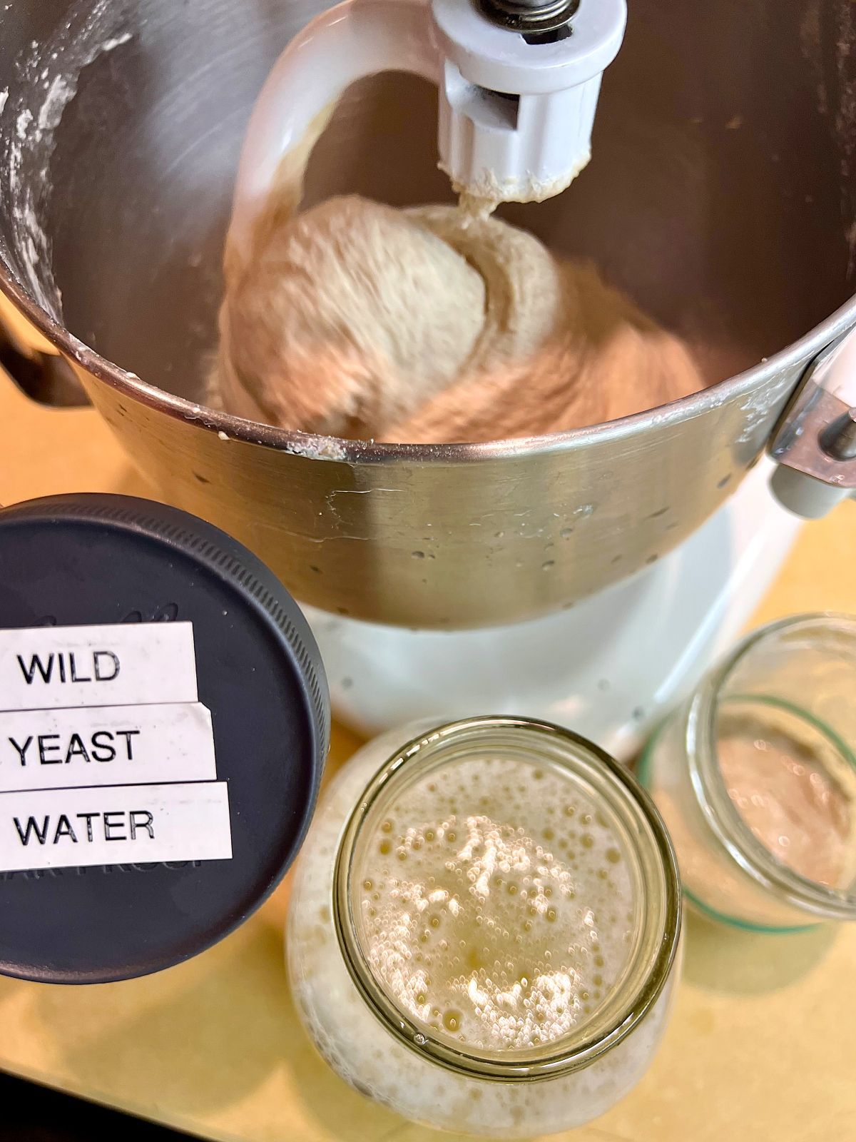 Wild Yeast Water Bread Dough